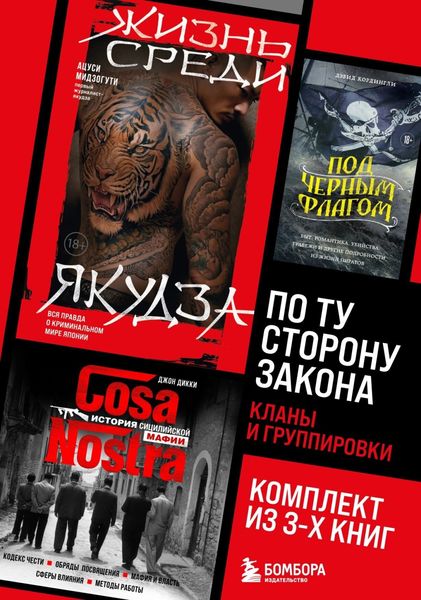 Обложка книги  «По ту сторону закона. Кланы и группировки»