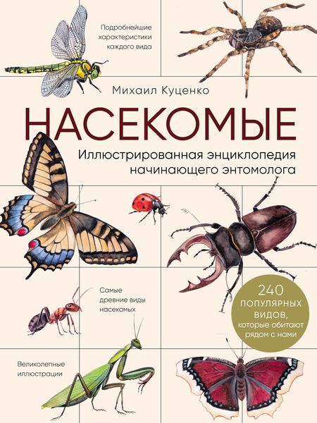 Обложка книги  «Насекомые. Иллюстрированная энциклопедия начинающего энтомолога (240 популярных видов, которые обитают рядом с нами)»
