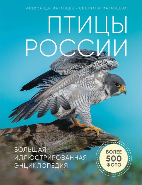 Обложка книги  «Птицы России. Большая иллюстрированная энциклопедия»