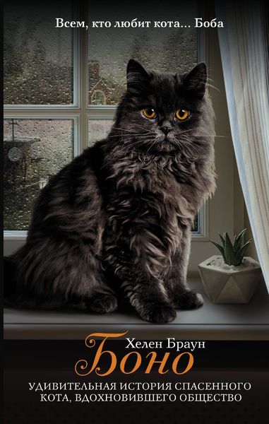 Обложка книги  «Боно. Удивительная история спасенного кота, вдохновившего общество»