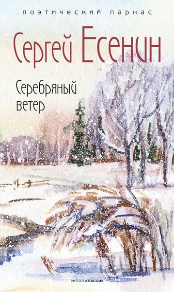 Обложка книги  «Серебряный ветер»
