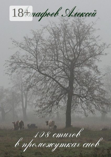 Обложка книги  «108 стихов в промежутках снов»