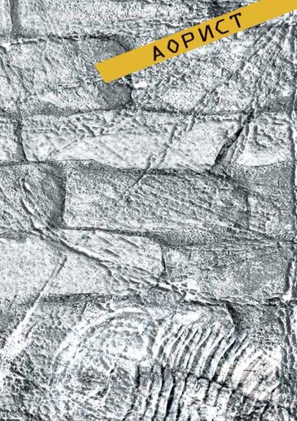 Обложка книги  «Аорист»