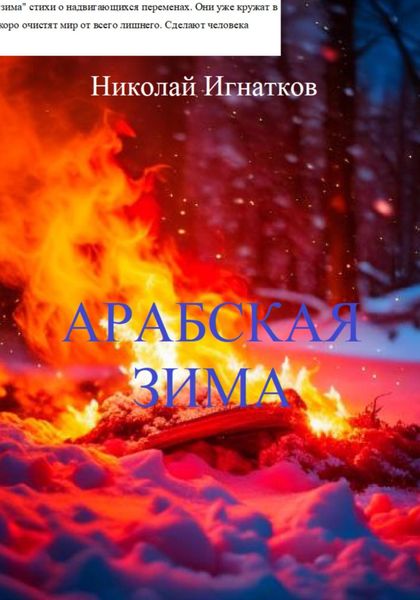 Обложка книги «Арабская зима»