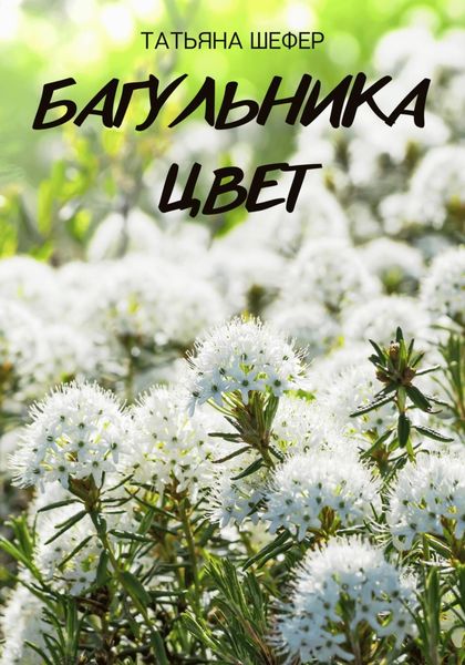 Обложка книги  «Багульника цвет»