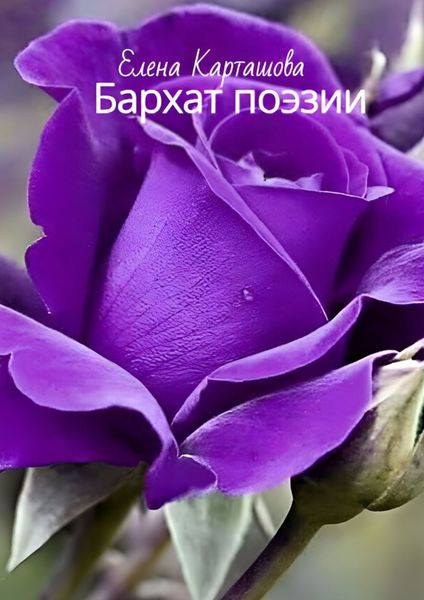 Обложка книги  «Бархат поэзии»