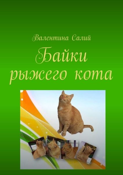 Обложка книги  «Байки рыжего кота. Стихи»