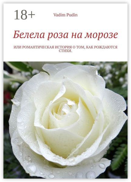 Обложка книги  «Белела роза на морозе. Или романтическая история о том, как рождаются стихи»