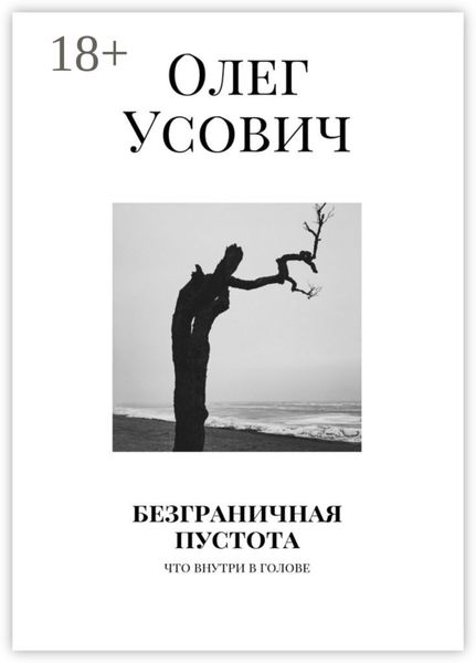 Обложка книги  «Безграничная пустота. Что внутри в голове»