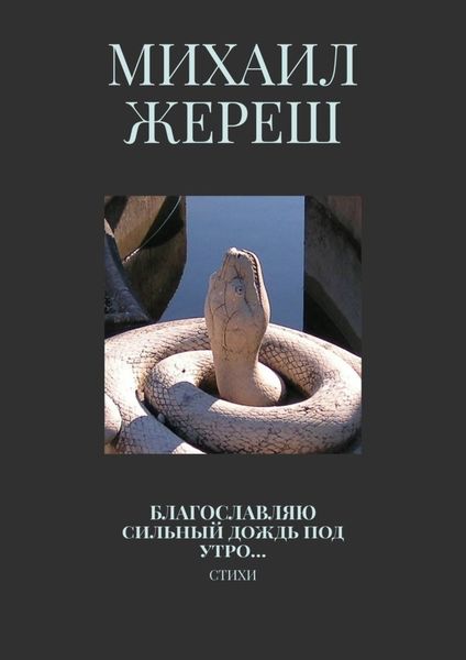 Обложка книги  «Благословляю сильный дождь под утро… Стихи»