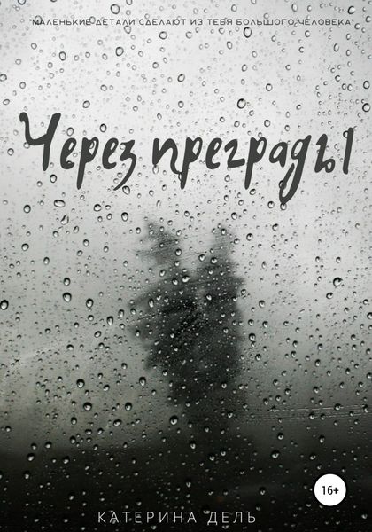 Обложка книги  «Через преграды»