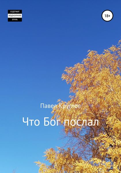Обложка книги  «Что Бог послал»