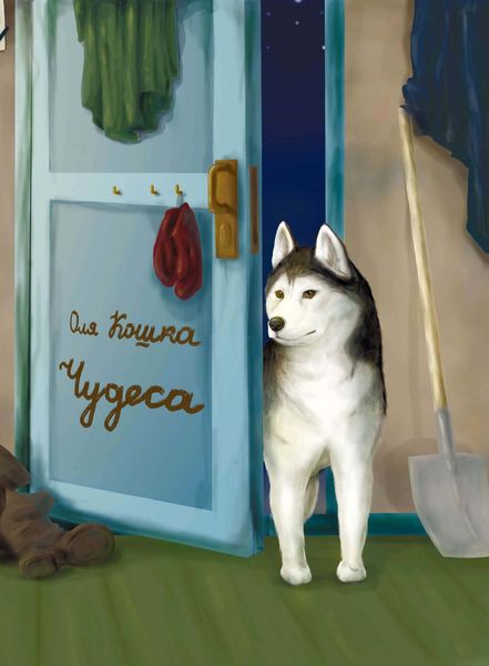 Обложка книги  «Чудеса»
