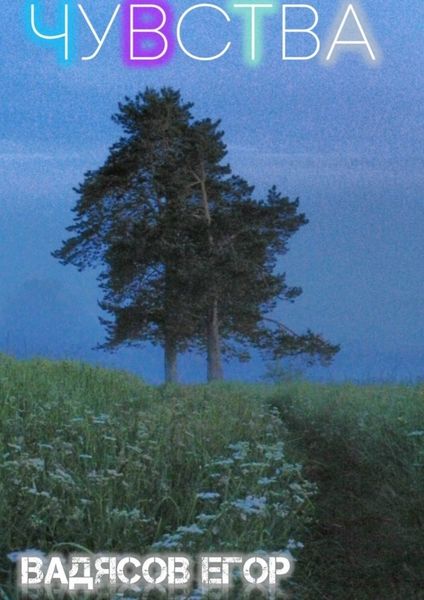Обложка книги  «Чувства. Все чувства когда-то заканчиваются, но я верю что есть продолжение…»