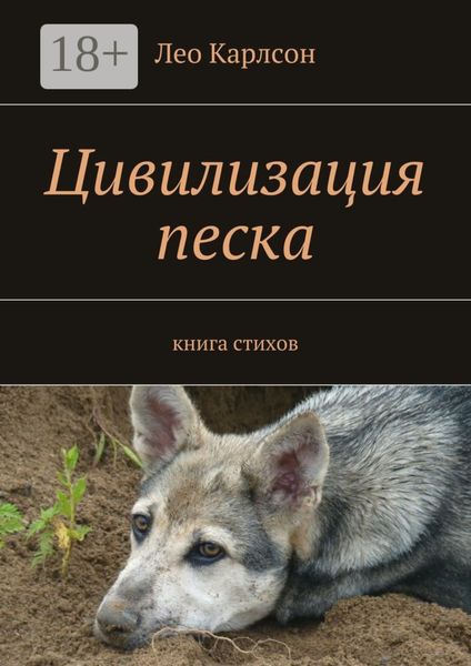 Обложка книги  «Цивилизация песка. книга стихов»