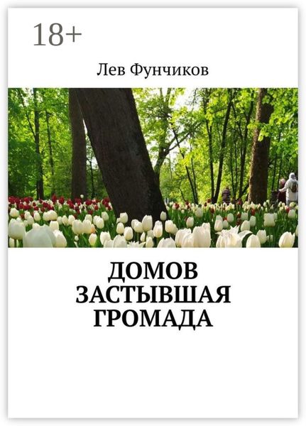 Обложка книги  «Домов застывшая громада»