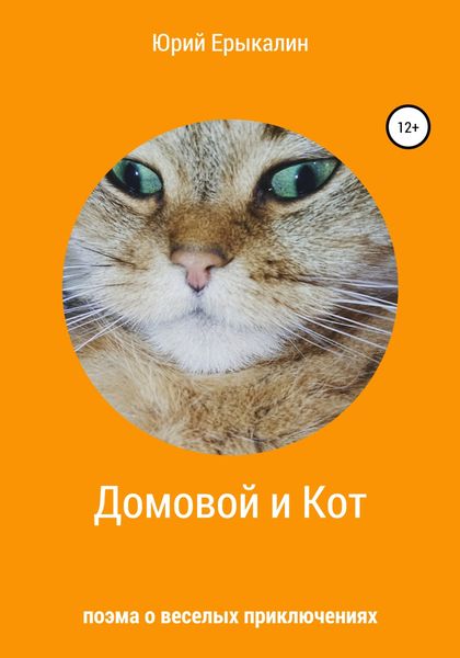 Обложка книги  «Домовой и Кот»