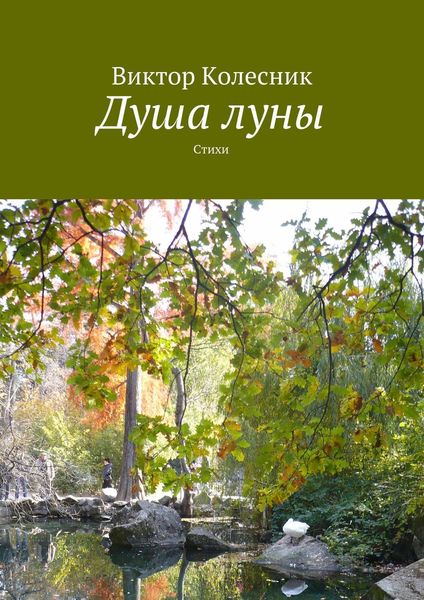 Обложка книги  «Душа луны»