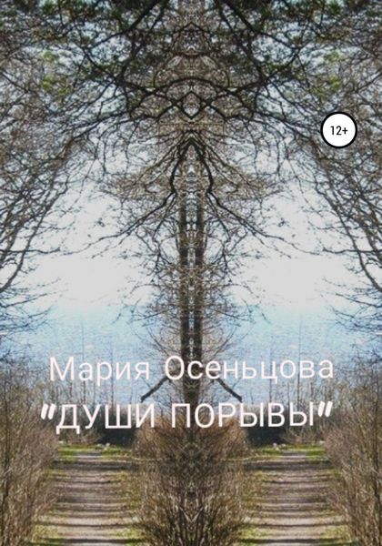 Обложка книги  «Души порывы»