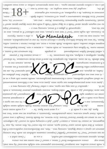 Обложка книги  «Хаос слова»