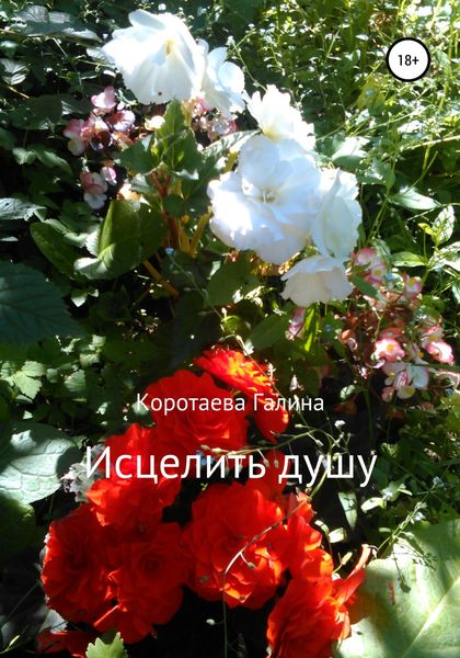 Обложка книги  «Исцелить душу»