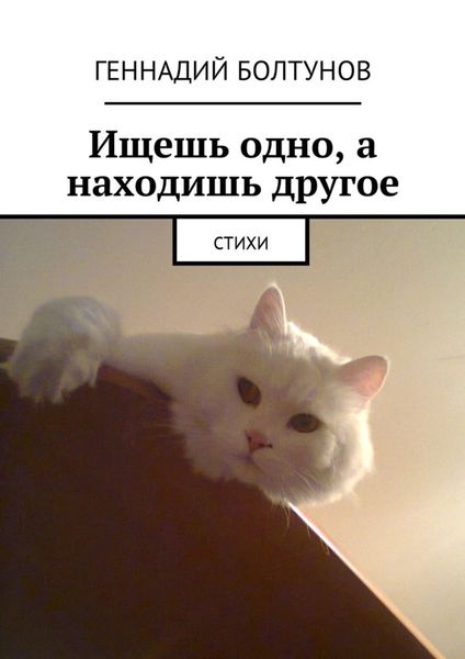 Обложка книги  «Ищешь одно, а находишь другое. Стихи»