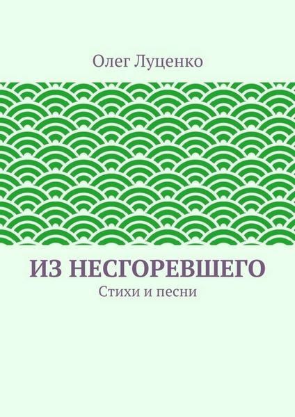Обложка книги  «Из несгоревшего. Стихи и песни»