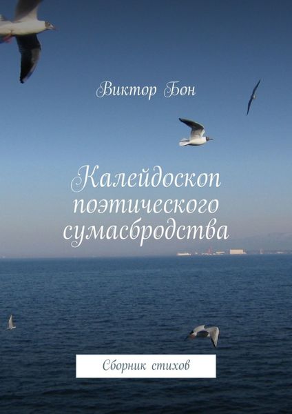 Обложка книги  «Калейдоскоп поэтического сумасбродства. Сборник стихов»