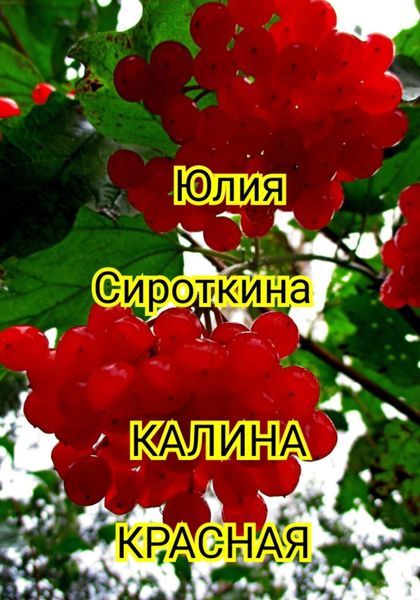 Обложка книги  «Калина красная»