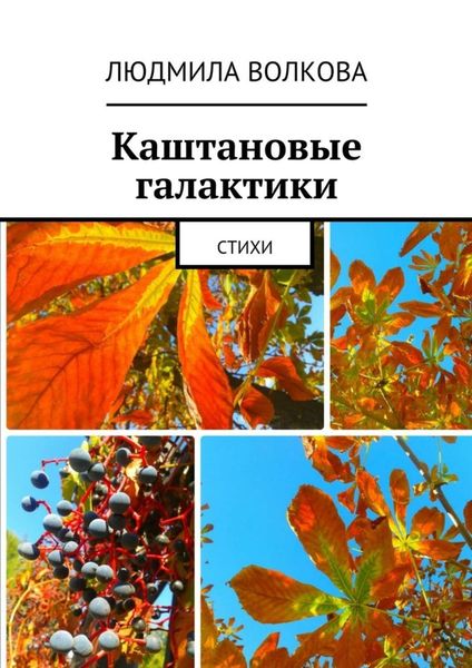 Обложка книги  «Каштановые галактики. стихи»