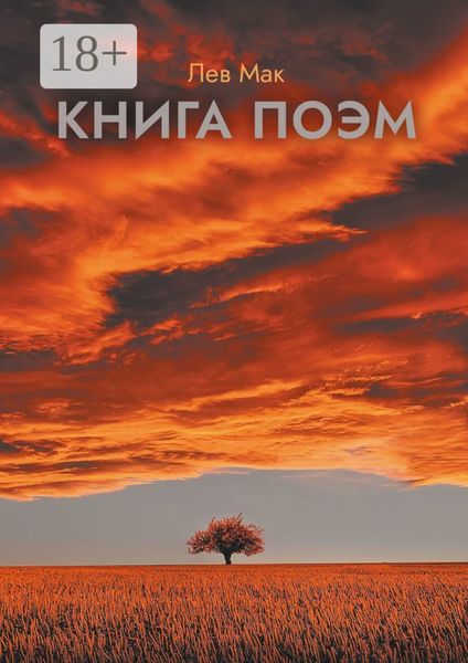 Обложка книги  «Книга поэм»