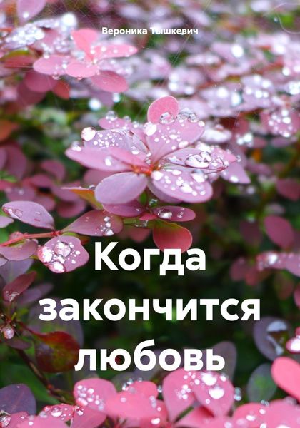 Обложка книги  «Когда закончится любовь»