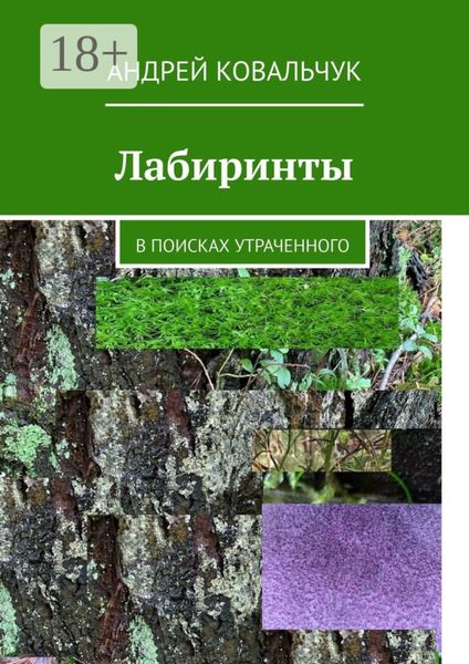 Обложка книги  «Лабиринты. В поисках утраченного»