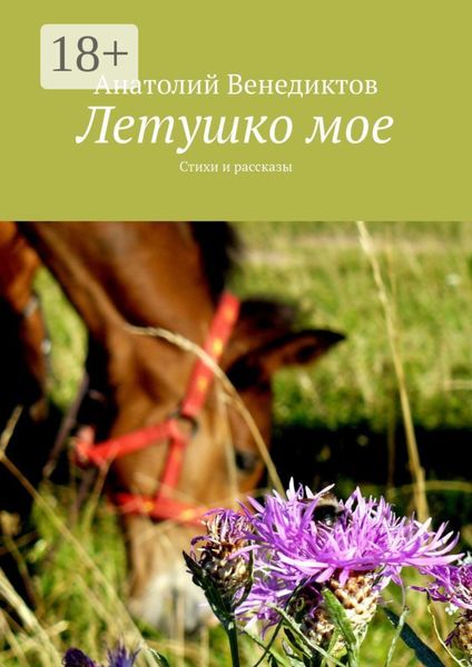 Обложка книги  «Летушко мое. Стихи и рассказы»