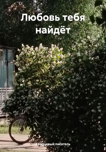 Обложка книги  «Любовь тебя найдёт»