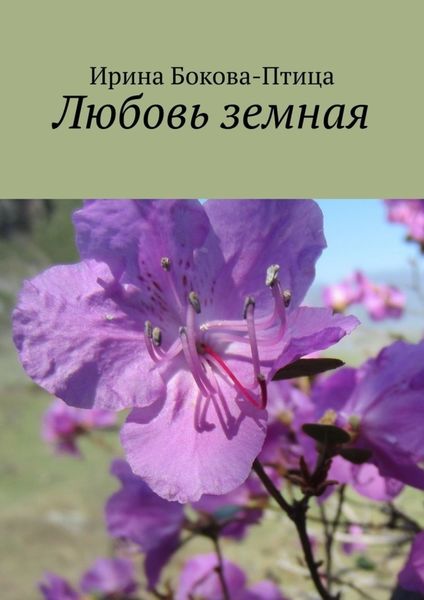 Обложка книги  «Любовь земная»