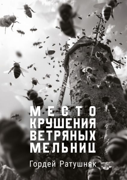 Обложка книги  «Место крушения ветряных мельниц»