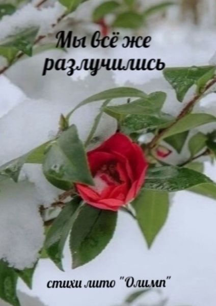 Обложка книги  «Мы всё же разлучились. Стихи лито «Олимп»»