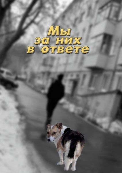 Обложка книги  «Мы за них в ответе»