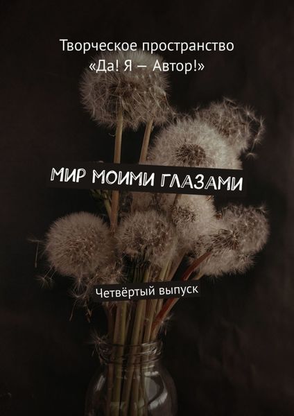 Обложка книги  «Мир моими глазами. Четвёртый выпуск»