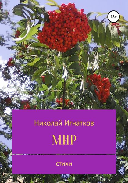 Обложка книги «Мир»