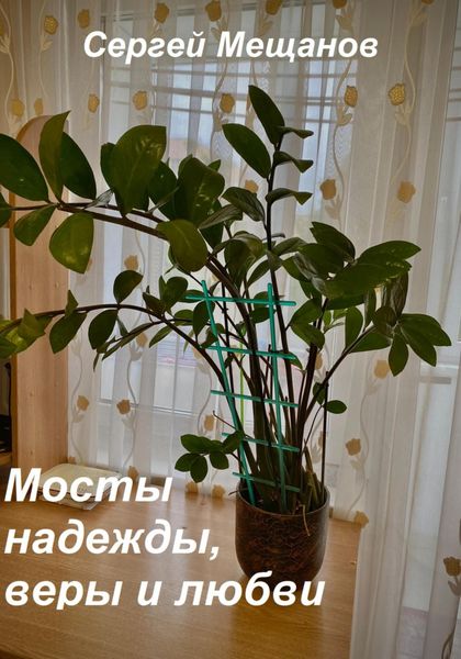 Обложка книги  «Мосты надежды, веры и любви»