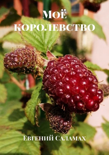 Обложка книги  «Моё королевство»