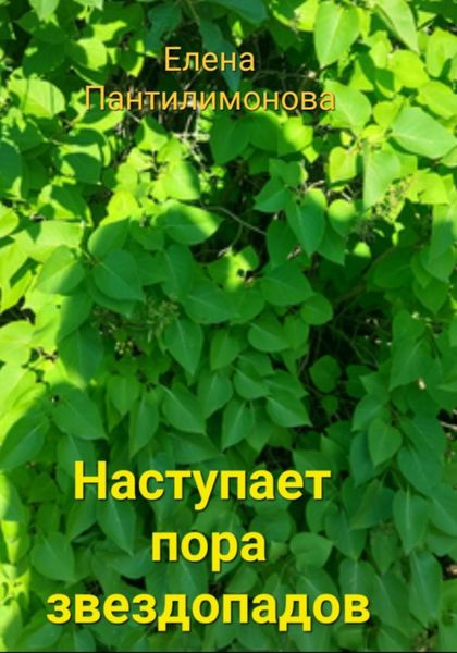 Обложка книги  «Наступает пора звездопадов»