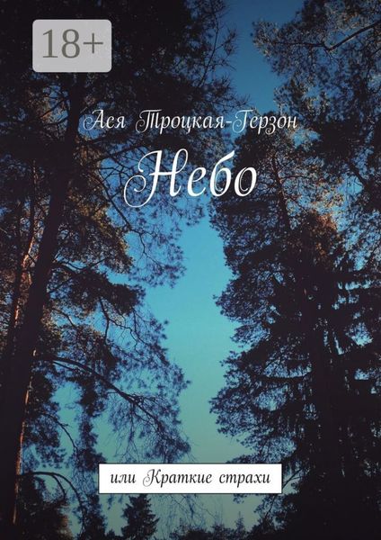 Обложка книги  «Небо. или Краткие страхи»