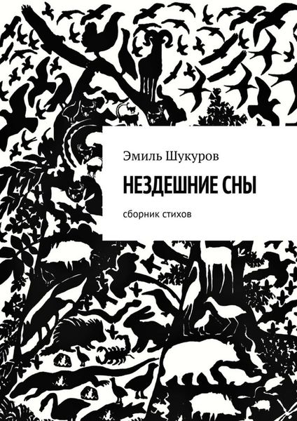 Обложка книги  «Нездешние сны. Сборник стихов»
