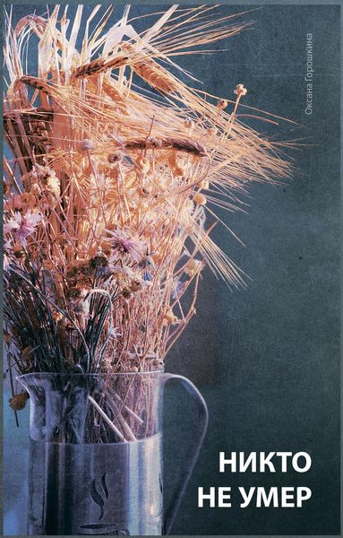 Обложка книги  «Никто не умер»