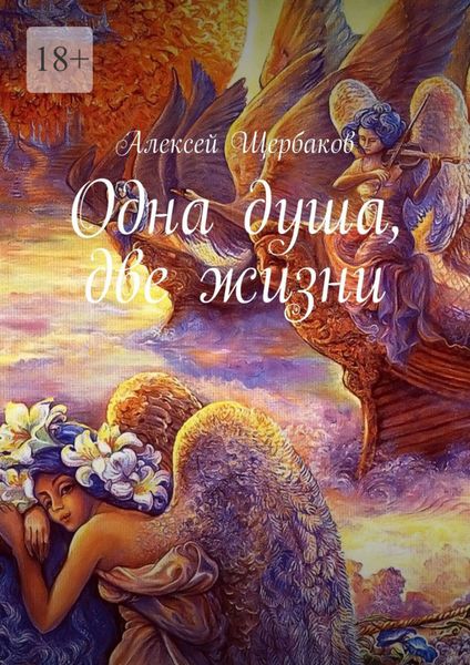 Обложка книги  «Одна душа, две жизни»
