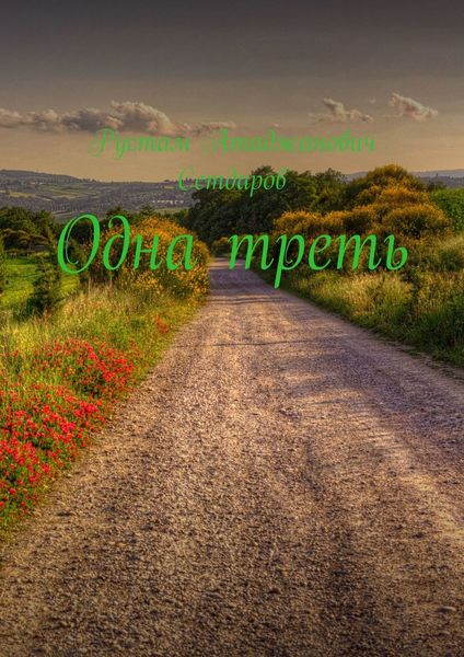 Обложка книги  «Одна треть»