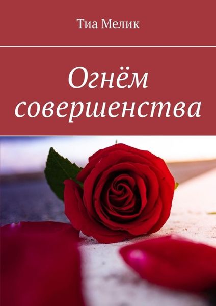 Обложка книги  «Огнём совершенства»